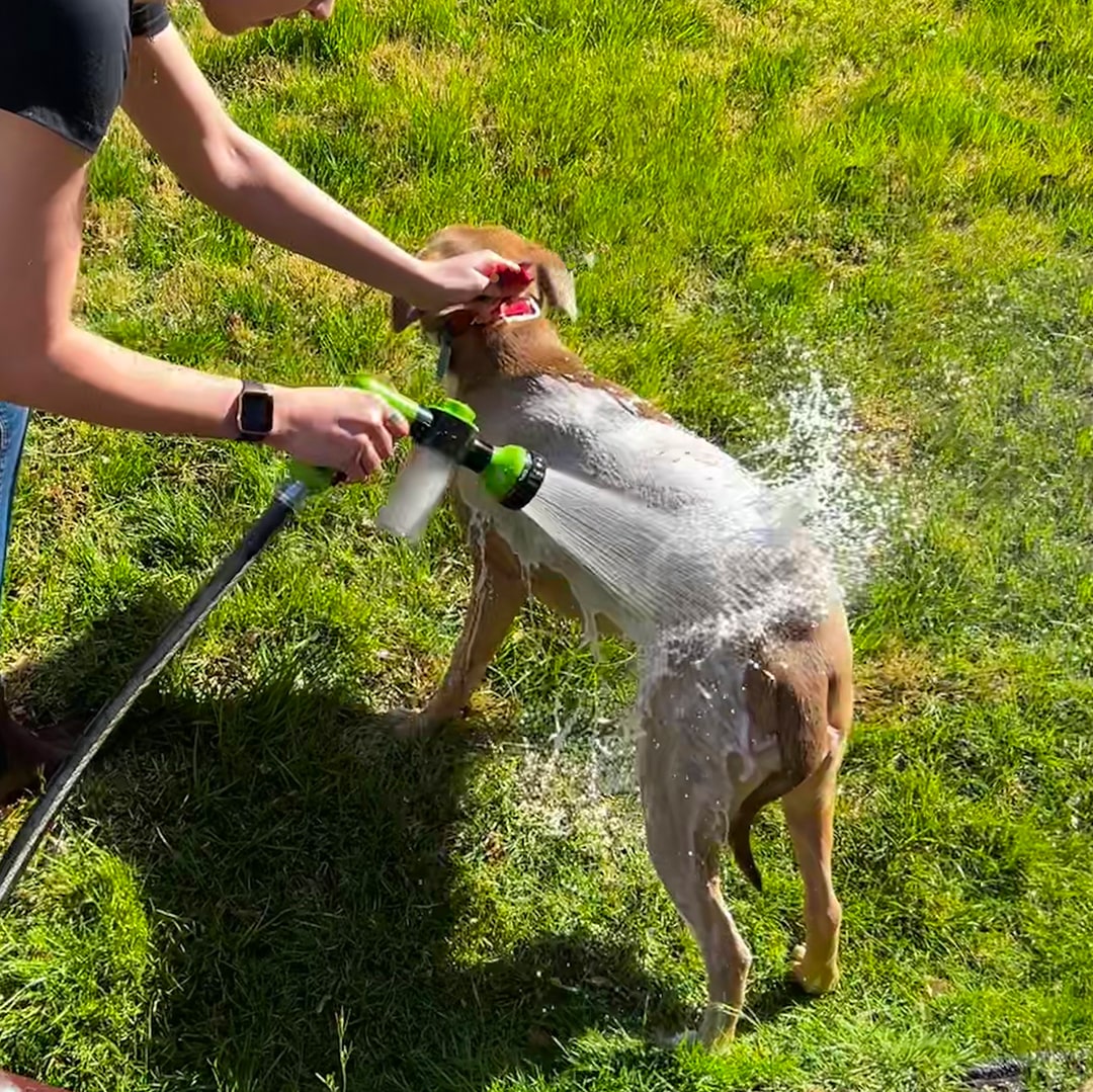 Pup Jet Bath Buddy