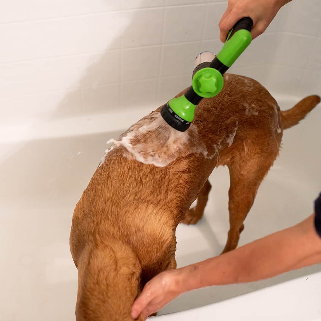 Pup Jet Bath Buddy